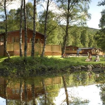 Woodland with wooden homes peeking through trees