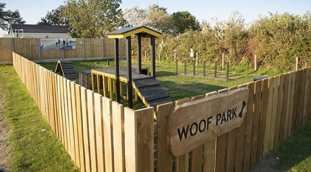 The woof park at Ty Mawr