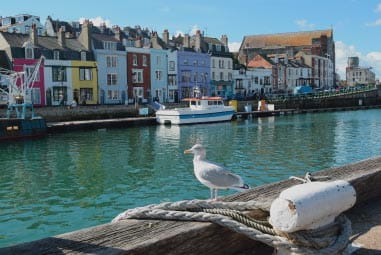 A picturesque town along the side of a river