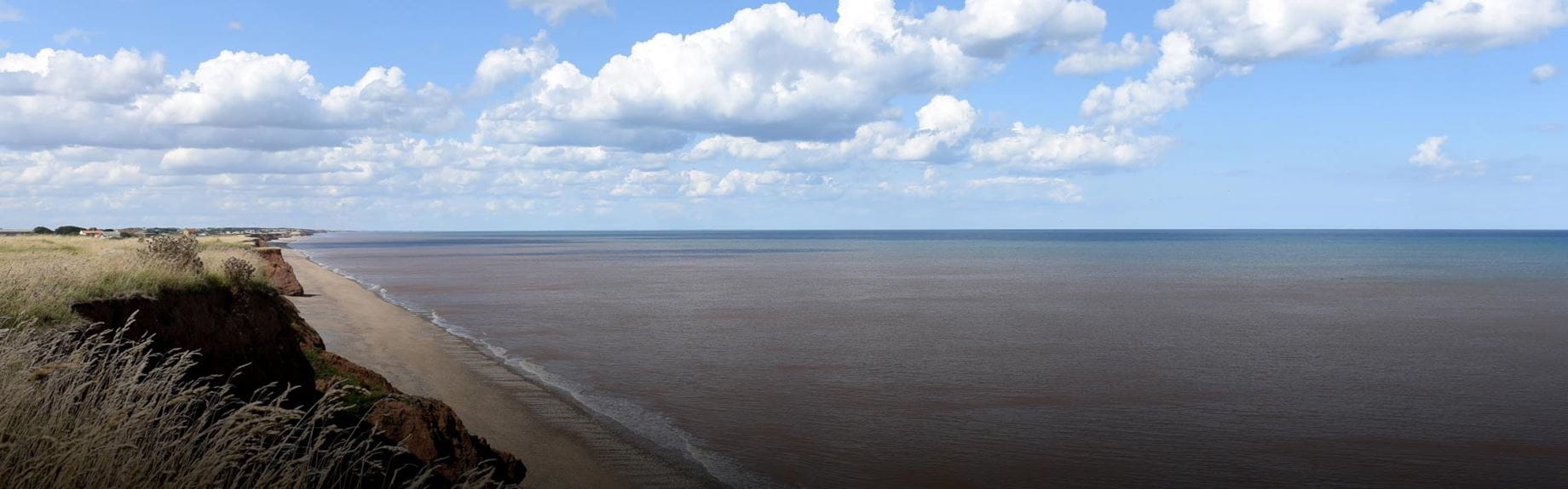 Beach and sea
