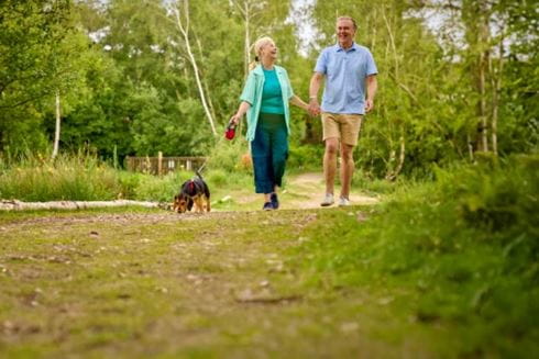 Couple walking dog holding hands
