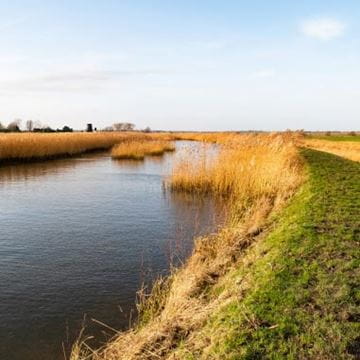 East Anglia