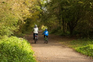 Family on bikes riding through woods