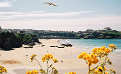 A sunny day at Towan Beach in Newquay
