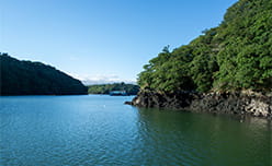 Calm waters of Carrick Roads on the River Fal