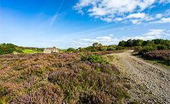 A walking trail through Cornwall