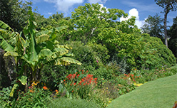 Lush green gardens and foliate at Trelissick in Cornwall