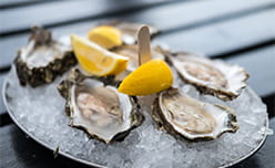 A plate of fresh oysters on ice