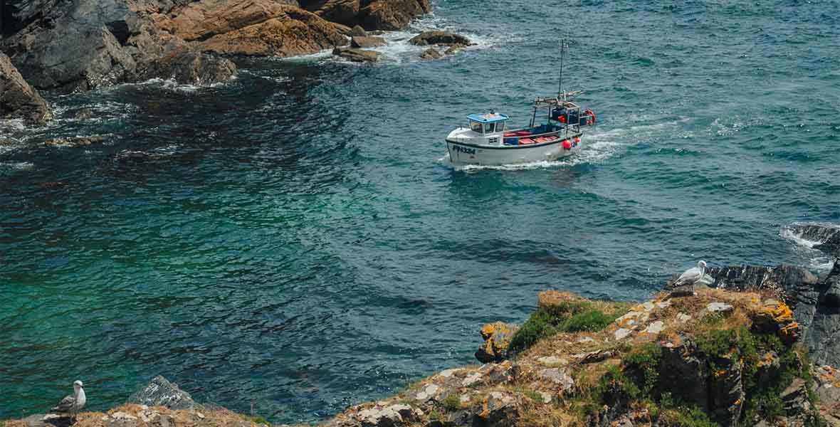 A fishing boat coming into a cove