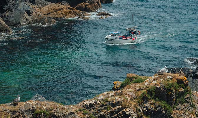 A fishing boat sailing into a cove in Cornwall