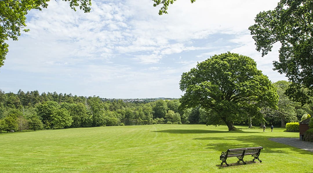 bench in picturesque garden