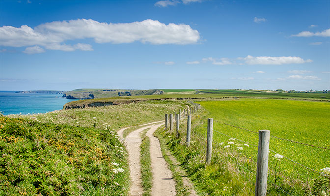 Lush green fields surrounding a walking path in Cornwall