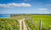 Lush green fields surrounding a walking path in Cornwall