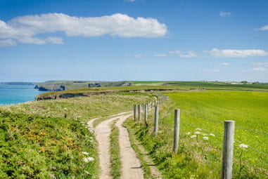 Grassy track
