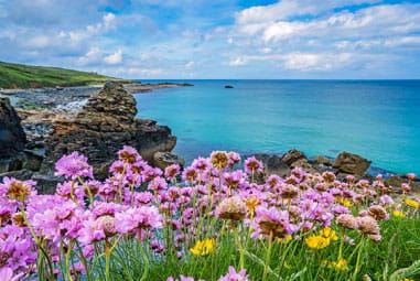 Cornwall beach