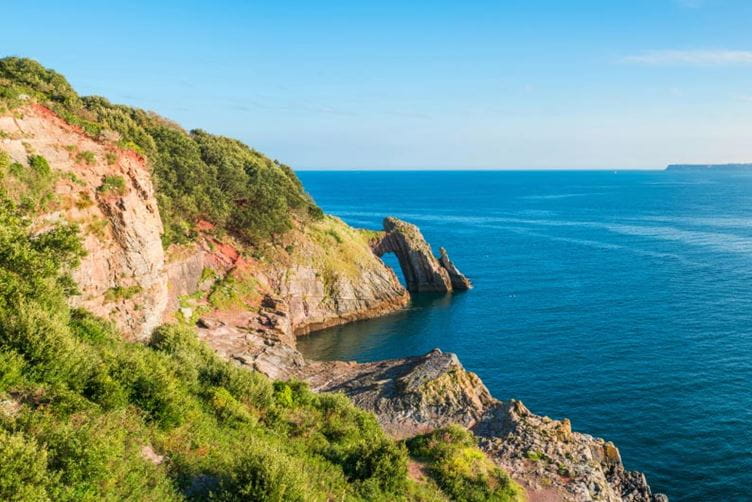 Devonshire coast