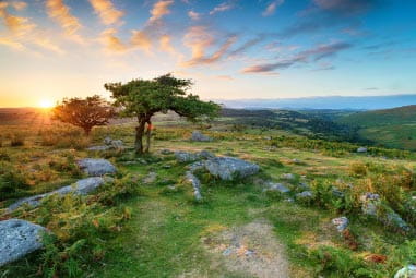 Dartmoor National Park