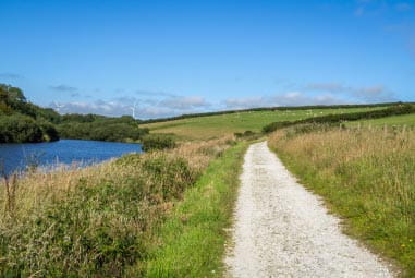 Tamar Trails in Devon