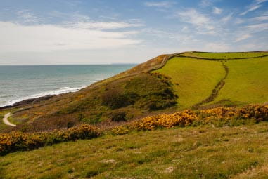 Devon coastline