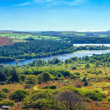 Devon in the sunshine