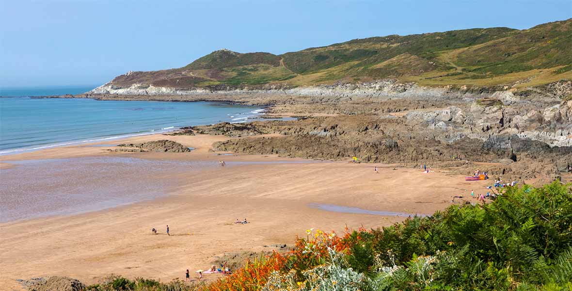 Colouful flowers blooming on a spring day in Devon overlooking the beach