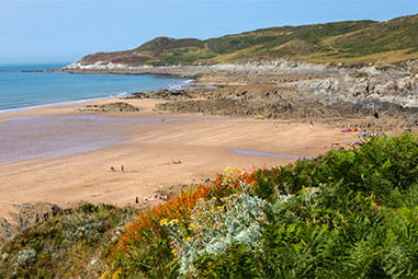 Colouful flowers blooming on a spring day in Devon overlooking the beach