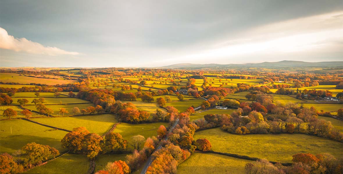 A view over Devon's moors in an October autumn day