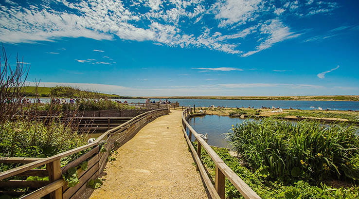 foot bridge and pathway towards beautiful coastal scene on a sunny day