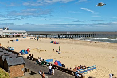 Sandy beach filled with families