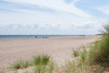 Dog friendly beach