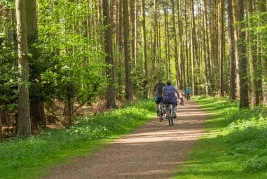 Couple riding bikes through a woods