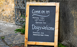 A sign outside a cafe welcoming dogs