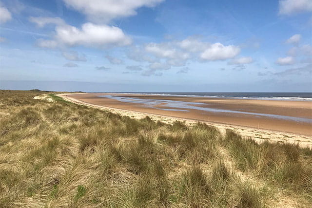 Grassy dunes lining the beach in Wells-next-the-Sea, Norfolk