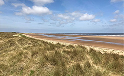 Grassy dunes lining the beach in Wells-next-the-Sea, Norfolk