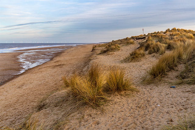 Sand dunes lined with grass overlooking Winterton Beach in Norfolk