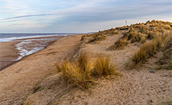 Sand dunes lined with grass overlooking Winterton Beach in Norfolk