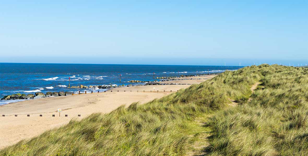Grass on the tops of dunes overlooking a beach in Norfolk