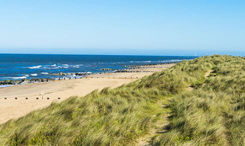 Grassy dunes overlooking a beach in Norfolk