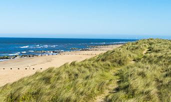 Grassy dunes overlooking a beach in Norfolk