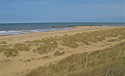 Sand dunes and grass lining Eccles-on-Sea Beach in Norfolk
