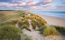 Grassy sand dunes at Holkham in Norfolk
