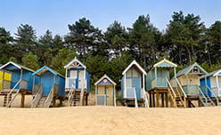 Colourful beach huts and trees lining the beach next to Wells-next-the-Sea