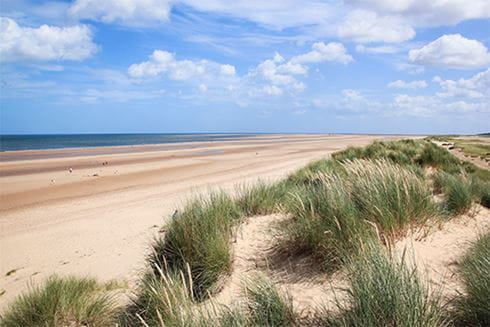 Grass and dunes at Holkham Beach at Norfolk