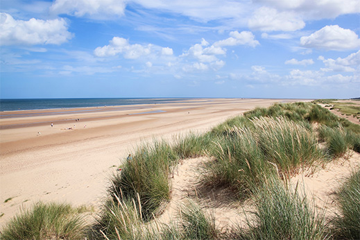 Grass and dunes at Holkham Beach at Norfolk