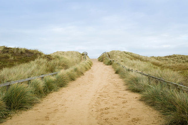 A sandy path heading into the dunes