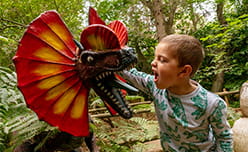 A kid imitating a model dinosaur at ROARR! in Norfolk