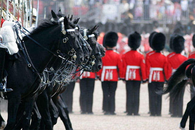 Royal guards and horses outside a royal palace