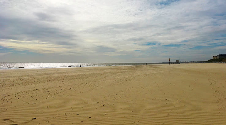 large sandy beach at low tide