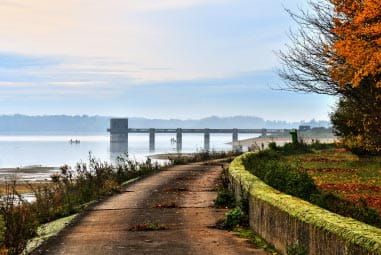 Essex wildlife trust