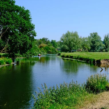 Dedham Vale in the sun